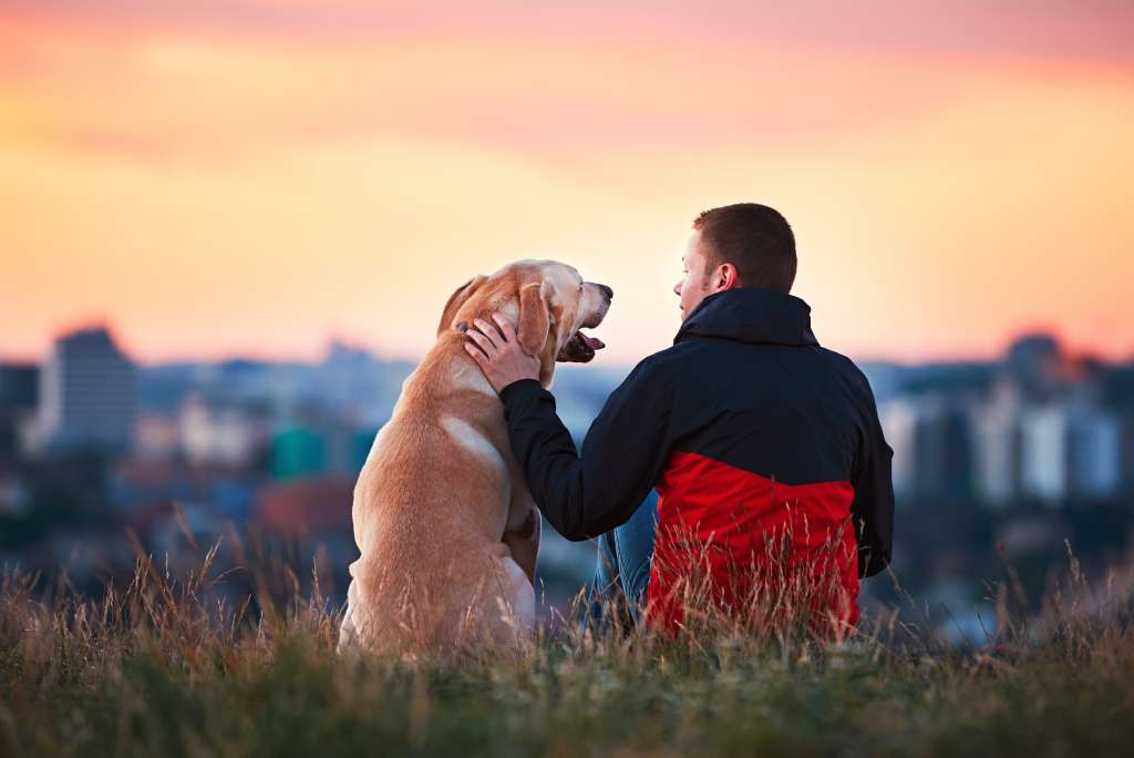 Hoe een hond een baas kiest