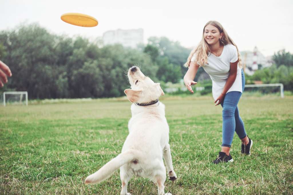 Spelen met een hond